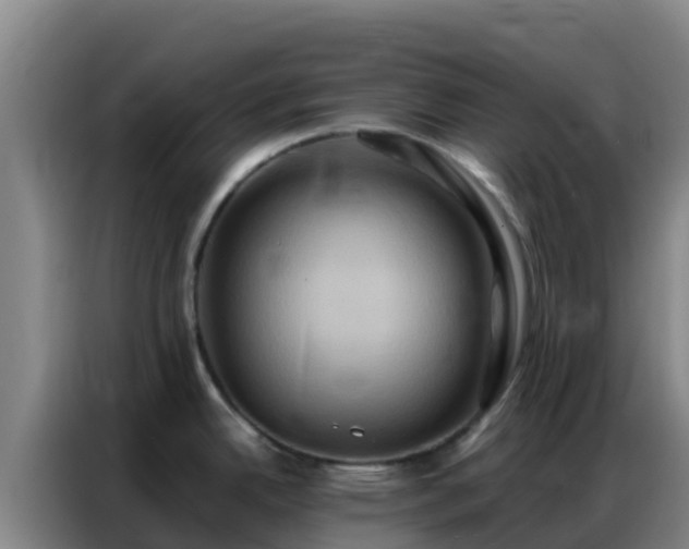 X0000086791342200704201836