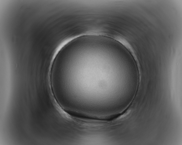 X0000086791344200704201836