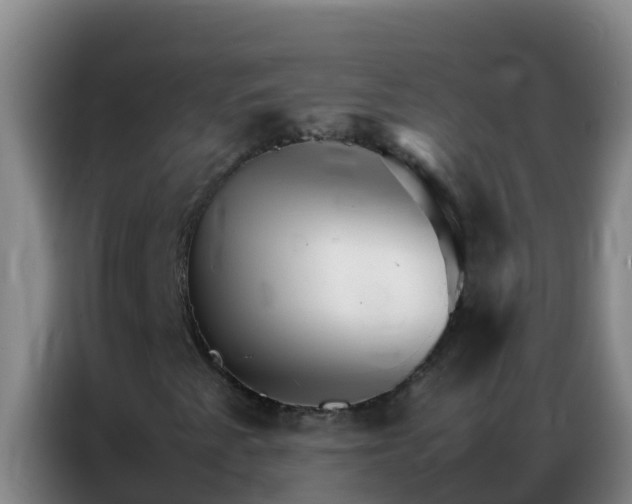 X0000086791345200704201836