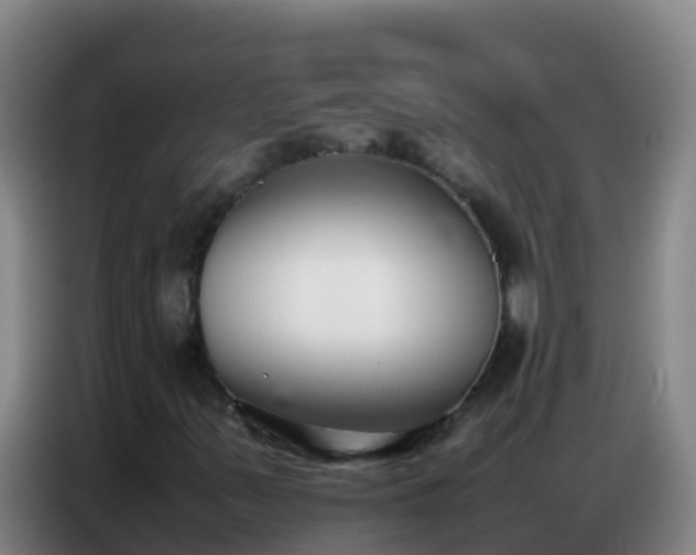 X0000086791347200704201835