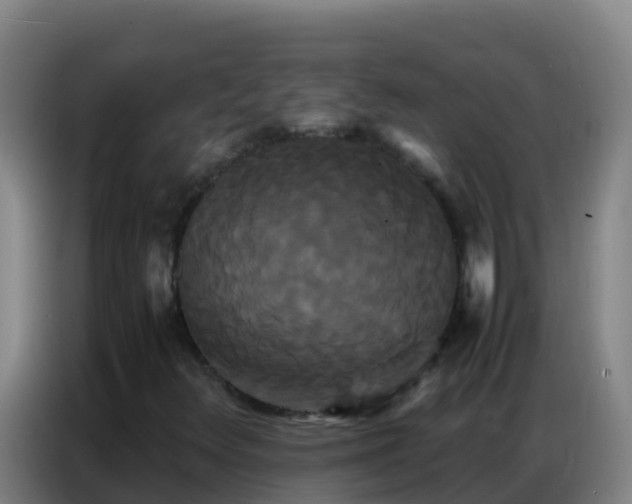 X0000086791348200704201835