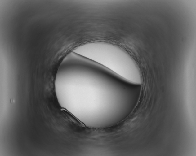 X0000086791349200704201835