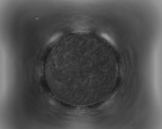 X0000086791350200704201835
