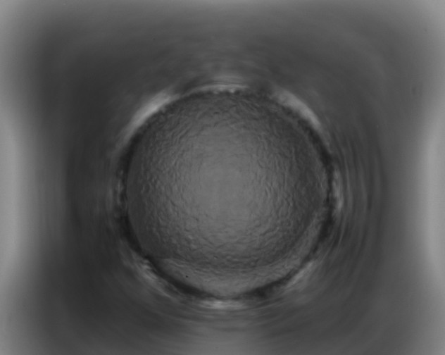 X0000086791352200704201835