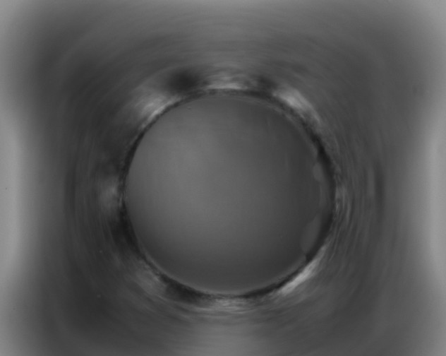 X0000086791353200704201835