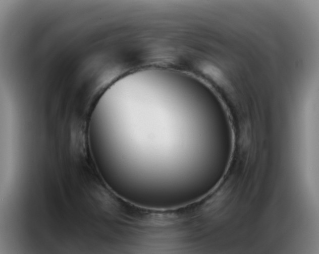 X0000086791354200704201835