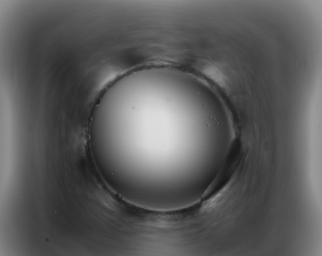X0000086791355200704201835