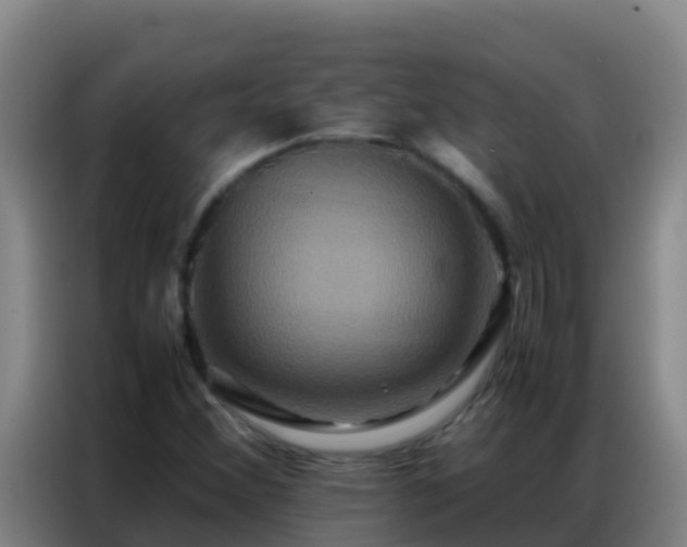 X0000086791356200704201835