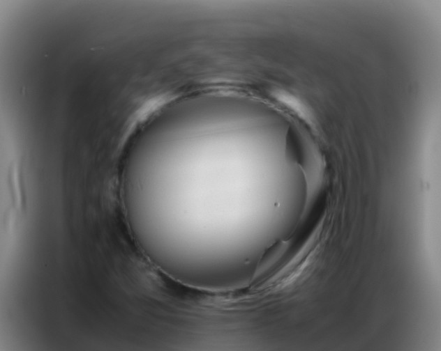 X0000086791357200704201835