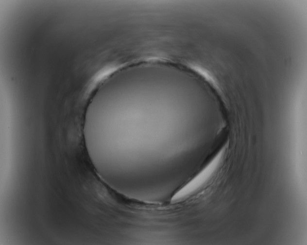 X0000086791359200704201835