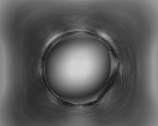 X0000086791360200704201835