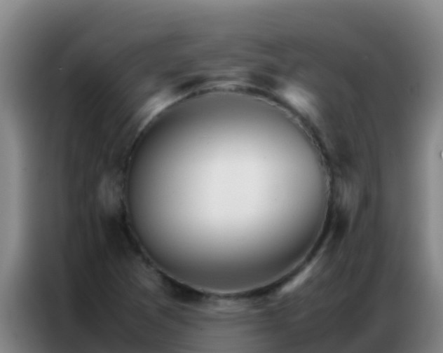 X0000086791361200704201835