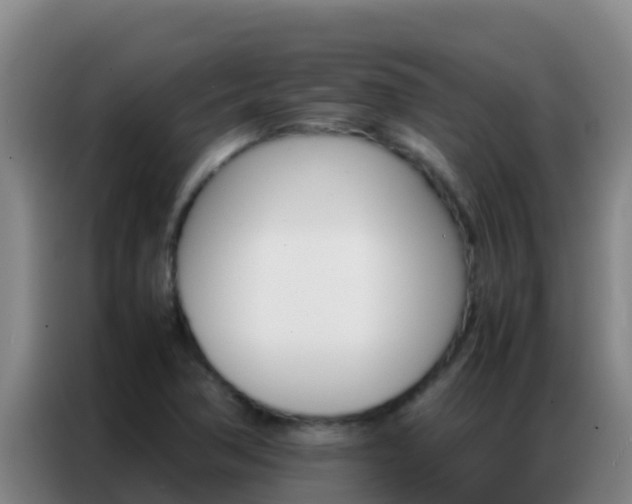 X0000086791362200704201835