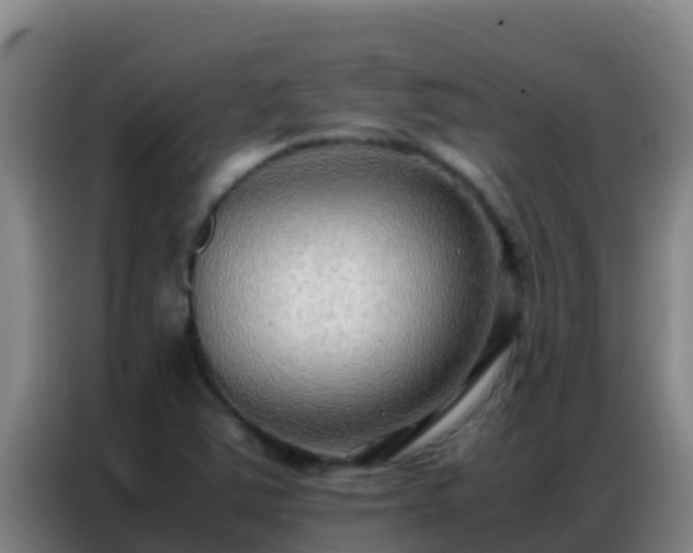 X0000086791363200704201835