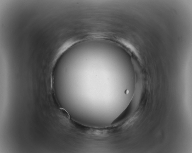 X0000086791365200704201835