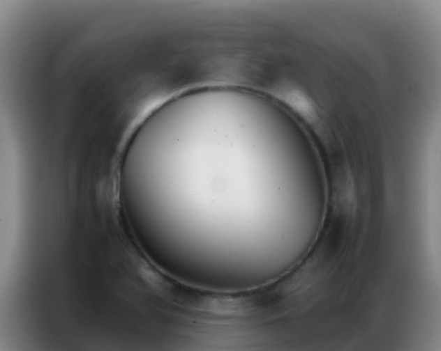 X0000086791366200704201835