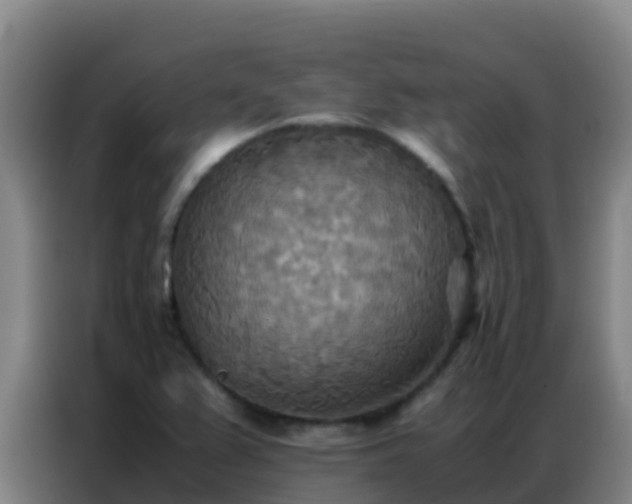 X0000086791367200704201835