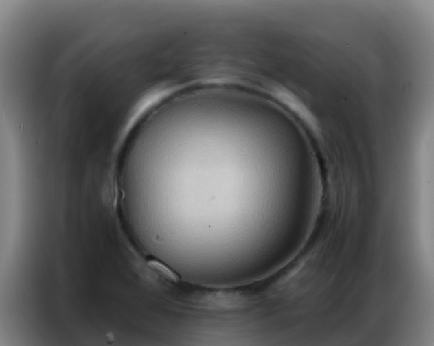 X0000086791368200704201835