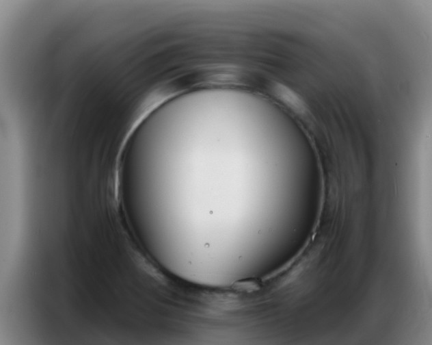 X0000086791370200704201835