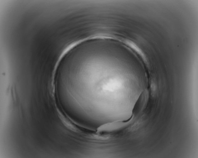 X0000086791372200704201835