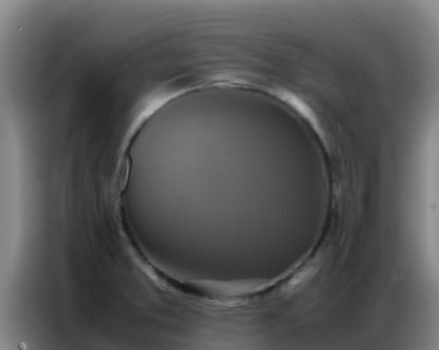 X0000086791373200704201835