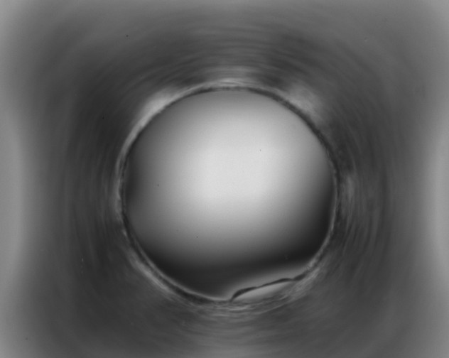 X0000086791374200704201835