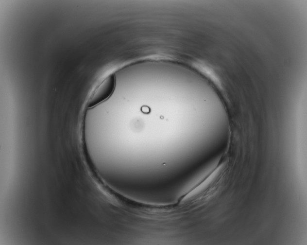 X0000086791375200704201835