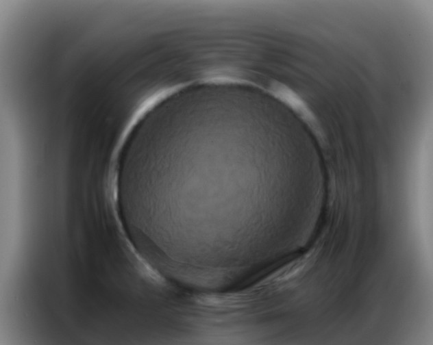 X0000086791376200704201835