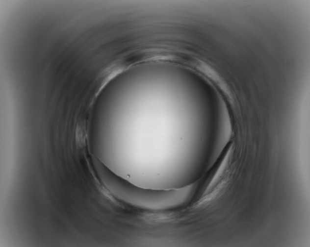 X0000086791377200704201835