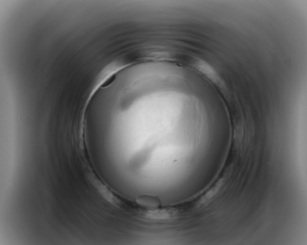 X0000086791378200704201835