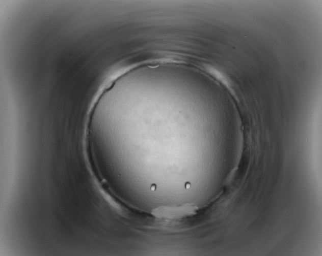 X0000086791379200704201835