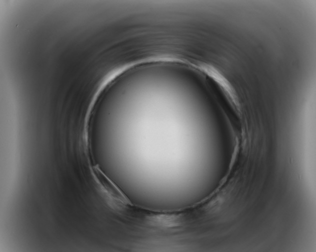 X0000086791380200704201835