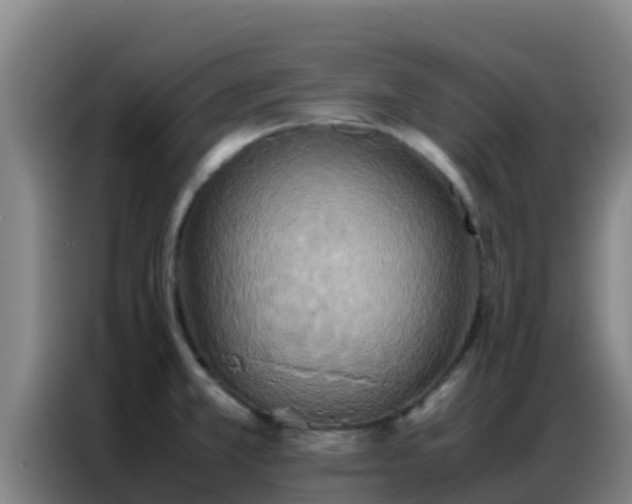 X0000086791381200704201835