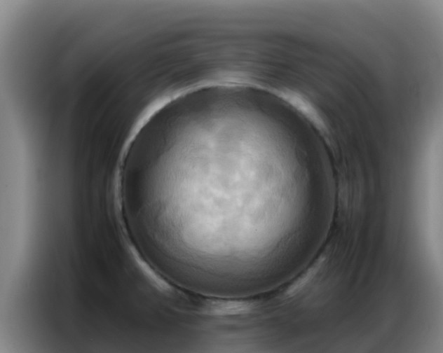 X0000086791382200704201835
