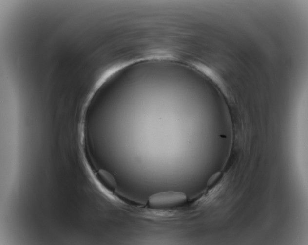 X0000086791383200704201835