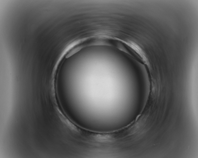 X0000086791384200704201835