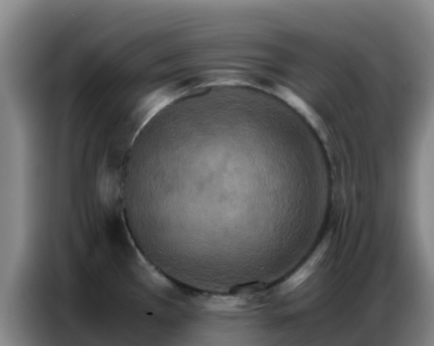 X0000086791385200704201835