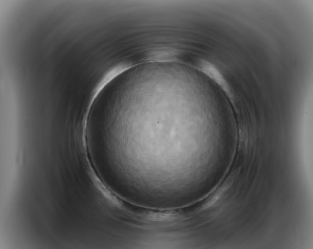 X0000086791386200704201835