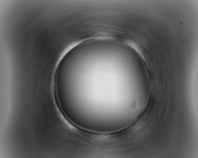 X0000086791387200704201835