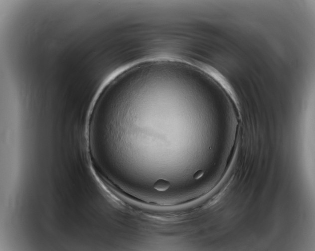 X0000086791388200704201835