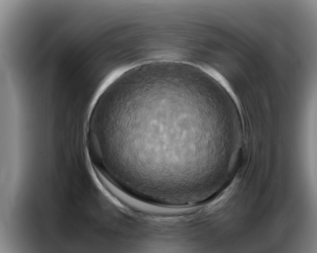 X0000086791389200704201835