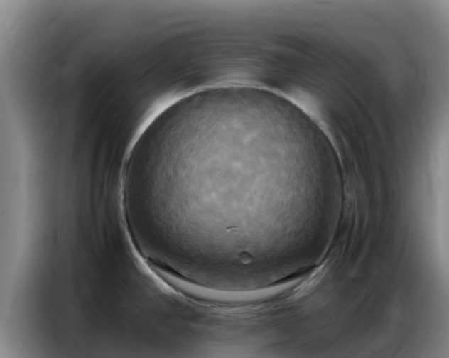 X0000086791390200704201835