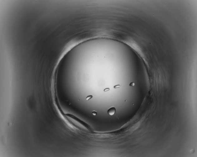 X0000086791391200704201835