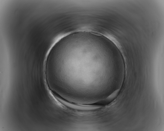 X0000086791392200704201835