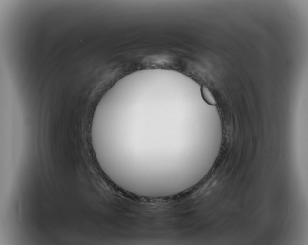 X0000086791393200704201834