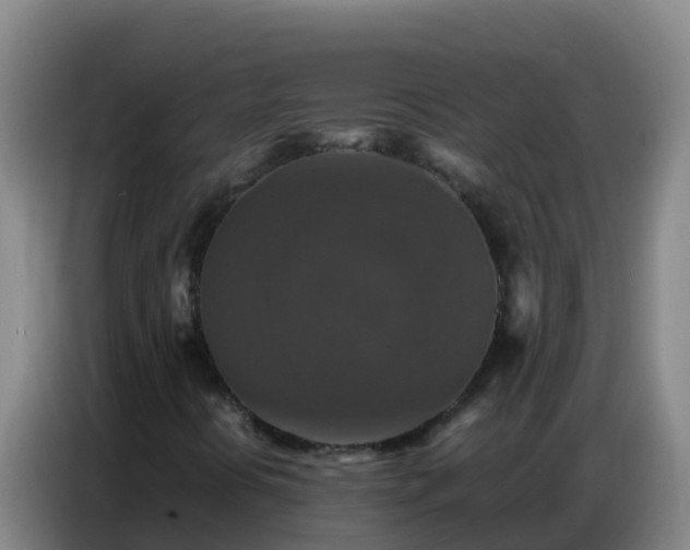 X0000086791394200704201834