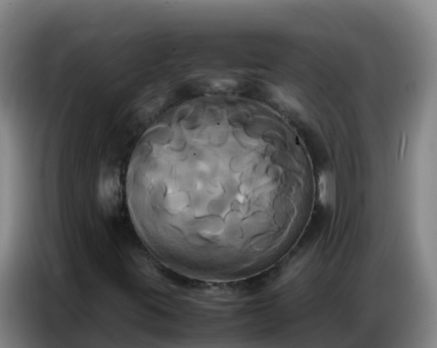 X0000086791395200704201834