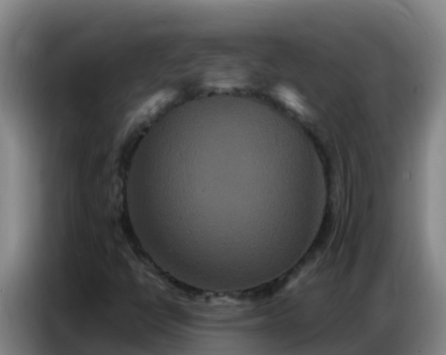 X0000086791398200704201834