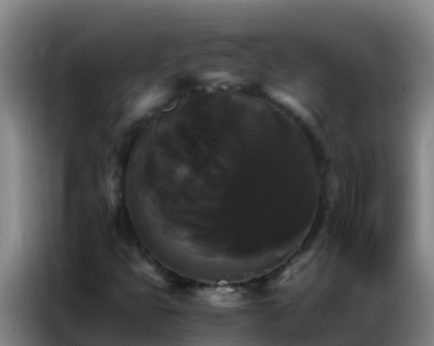 X0000086791399200704201834