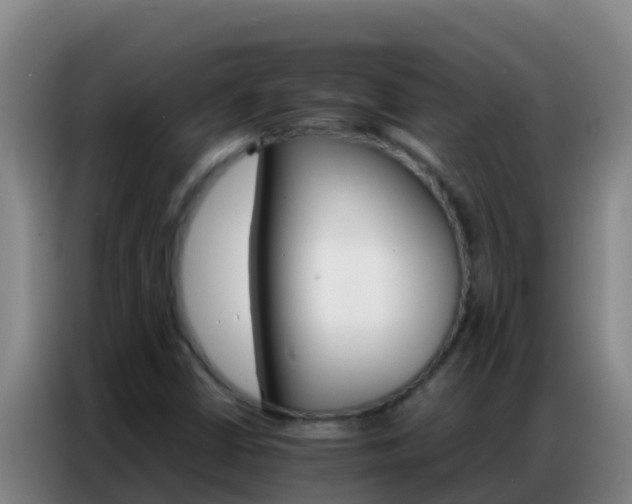 X0000086791402200704201834
